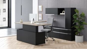 Ergonomic Commercial Office